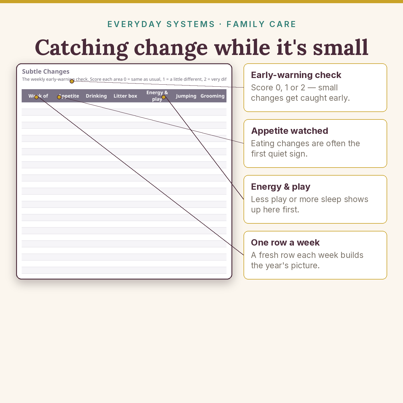 Senior Cat Care Binder - Image 3
