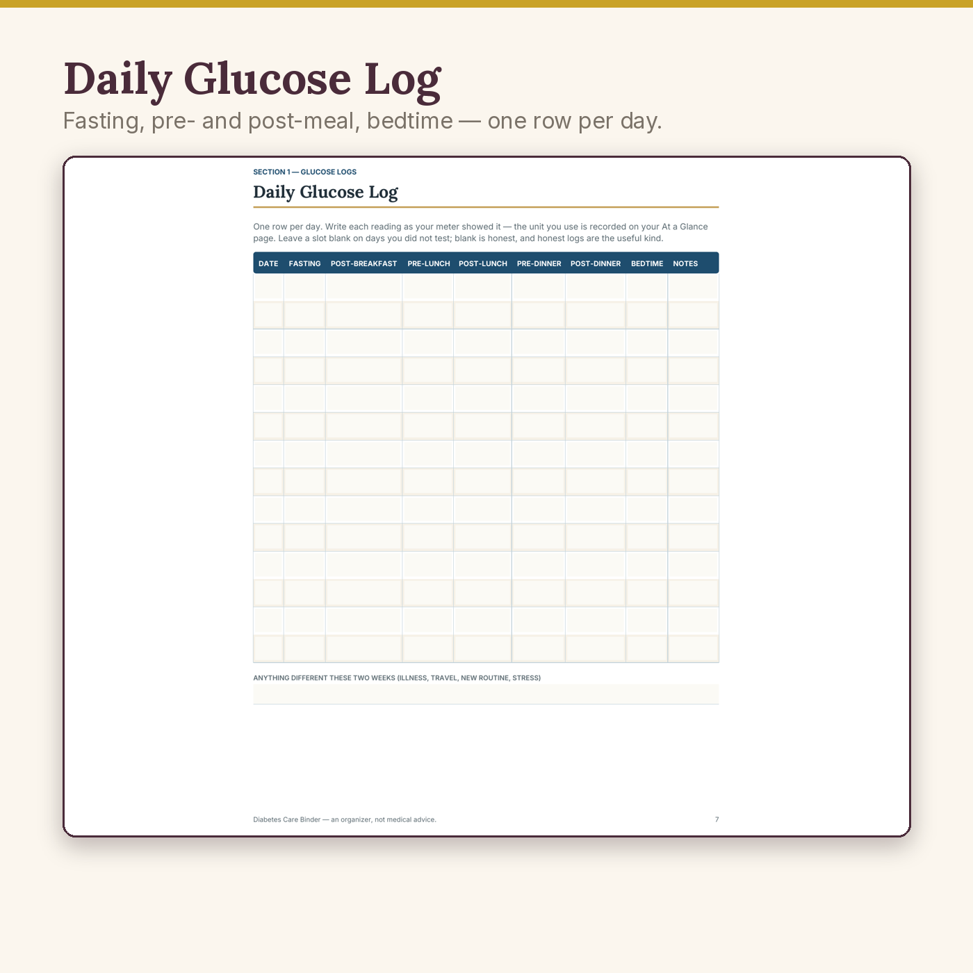 Diabetes Care Binder - Image 4